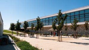 WCERE 2026 The World Congress of Environmental and Resource Economists ...